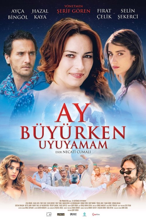 Ay Büyürken Uyuyamam постер