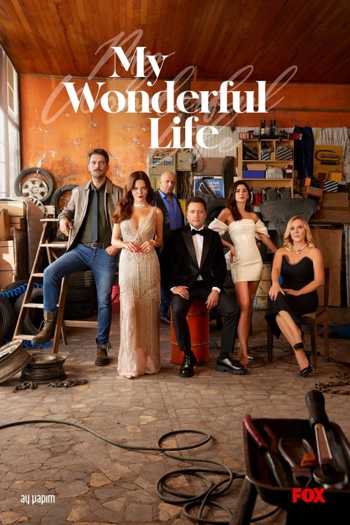 My Wonderful Life постер