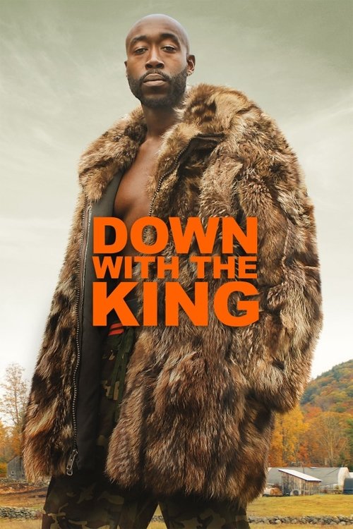 Down with the King постер