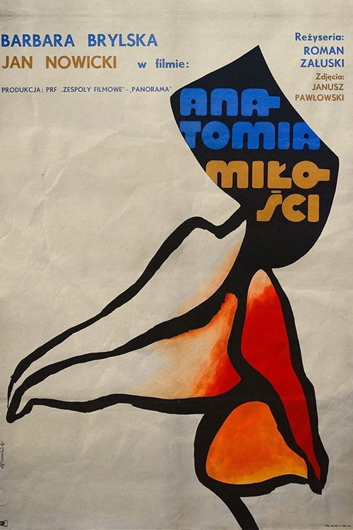 Анатомия любви постер