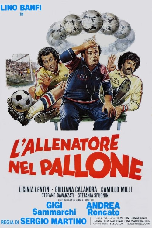 L'allenatore nel pallone постер
