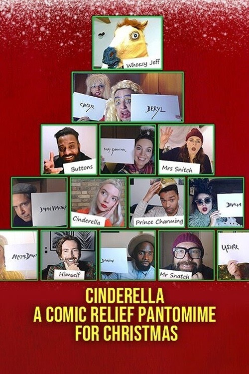 Cinderella: A Comic Relief Pantomime for Christmas постер