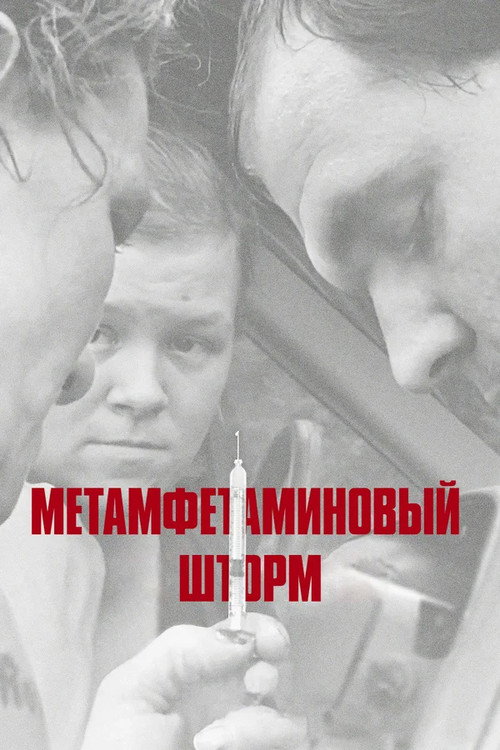 Метамфетаминовый шторм постер