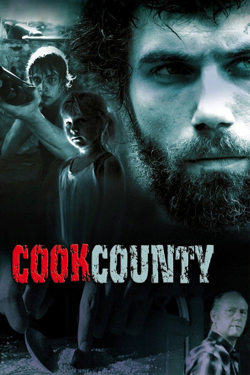 Cook County постер