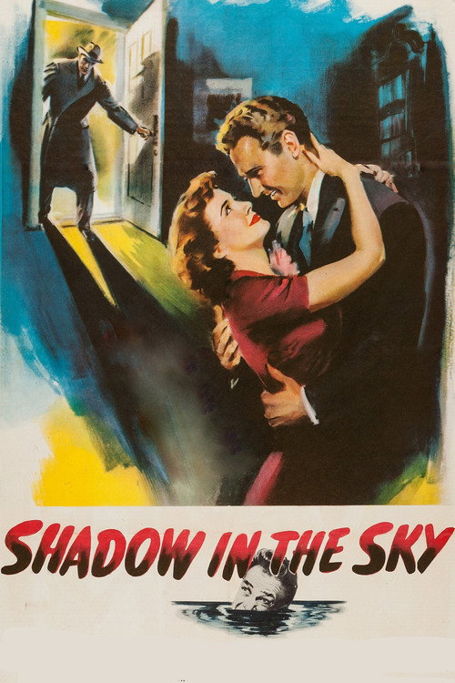 Shadow in the Sky постер