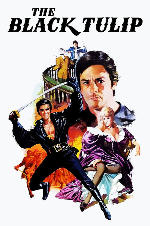 The Black Tulip постер