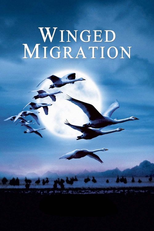 Winged Migration постер