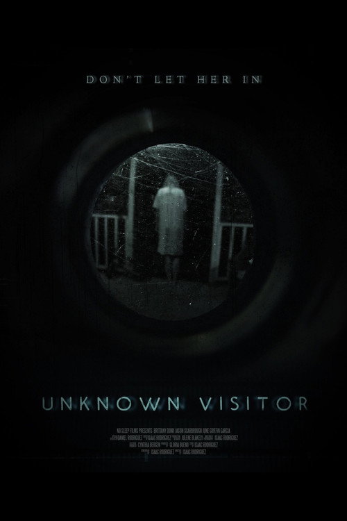 Unknown Visitor постер