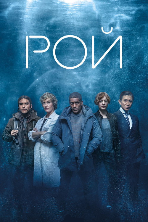 Рой постер