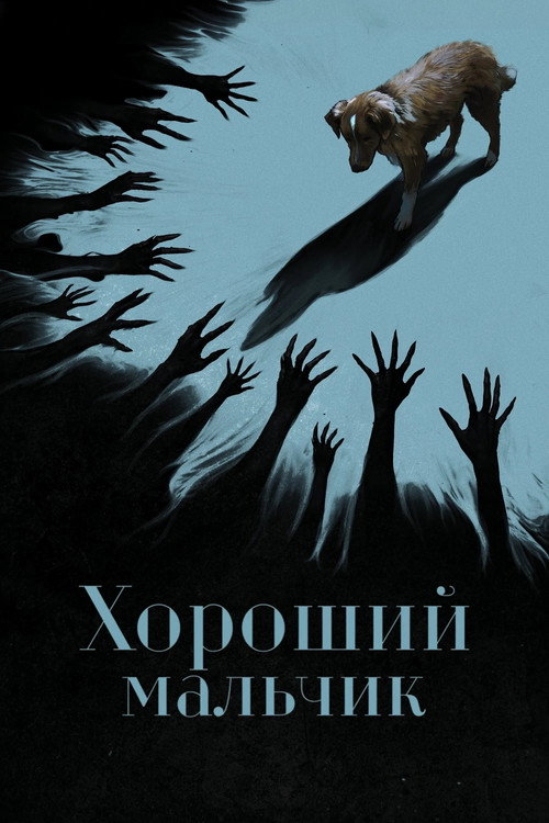 Глазами пса постер
