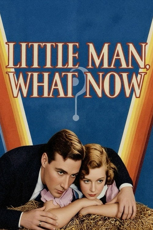 Little Man, What Now? постер