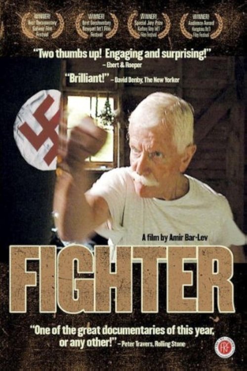 Fighter постер