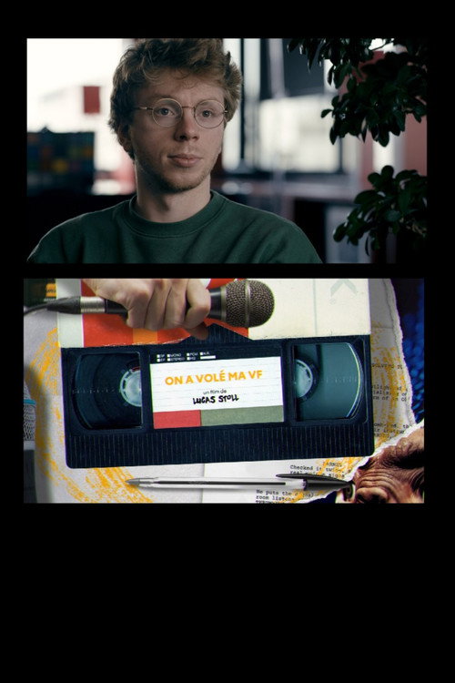 On a volé ma VF постер