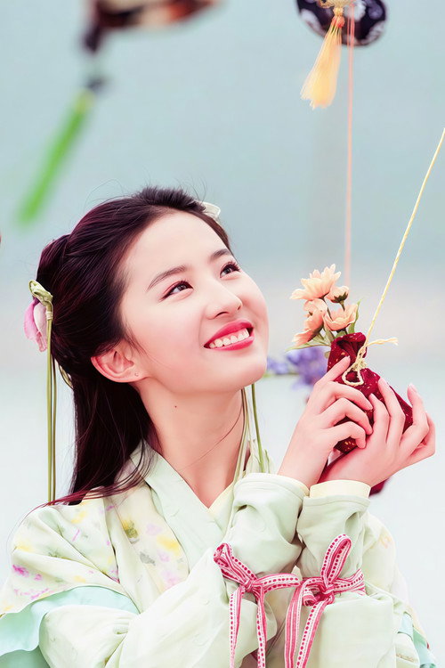 Китайский Паладин постер