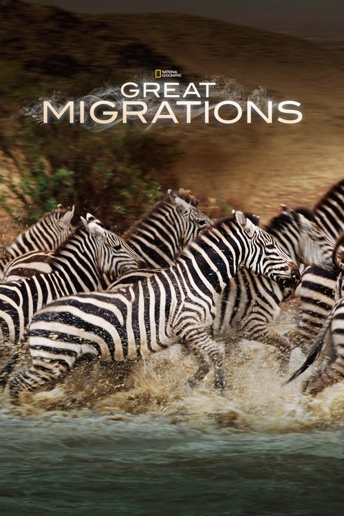 Great Migrations постер