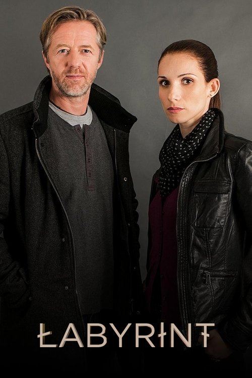 Labyrint постер