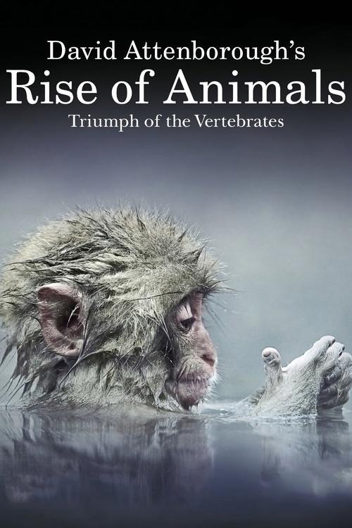 David Attenborough's Rise of Animals: Triumph of the Vertebrates постер