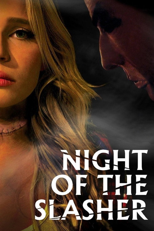 Night of the Slasher постер