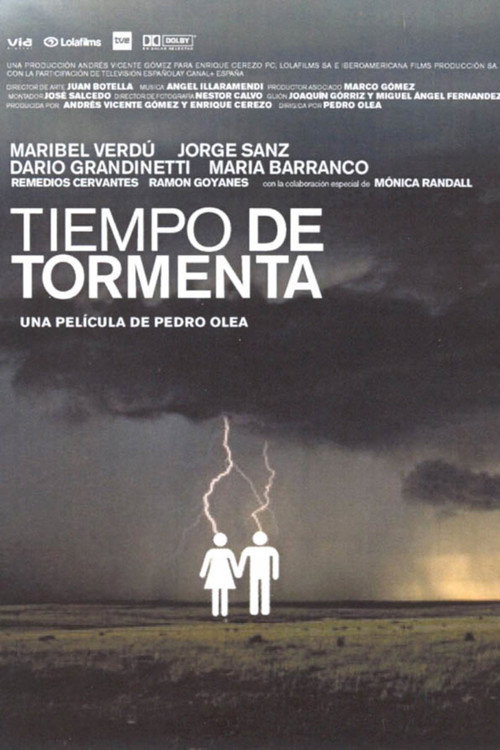 Tiempo de tormenta постер