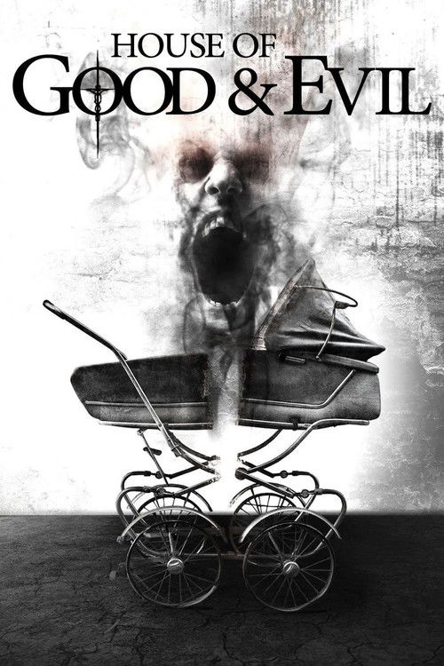 Дом добра и зла постер
