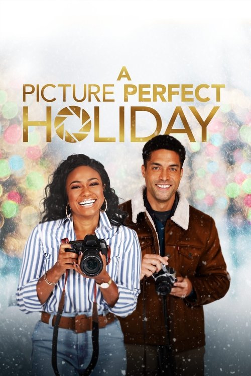 A Picture Perfect Holiday постер