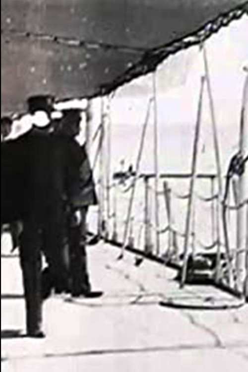 Admiral Dewey Receiving the Washington and New York Committees постер