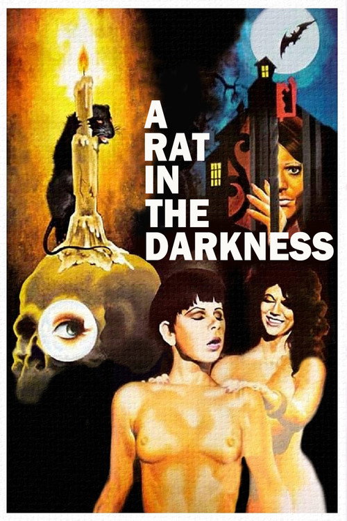 A Rat in the Darkness постер