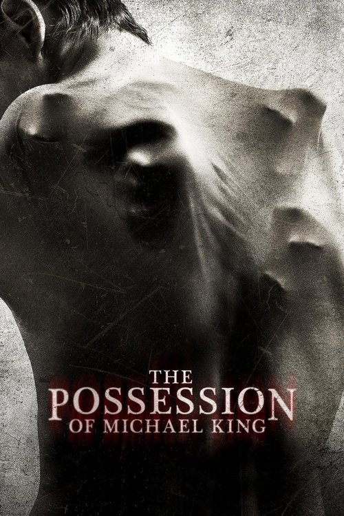 The Possession of Michael King постер