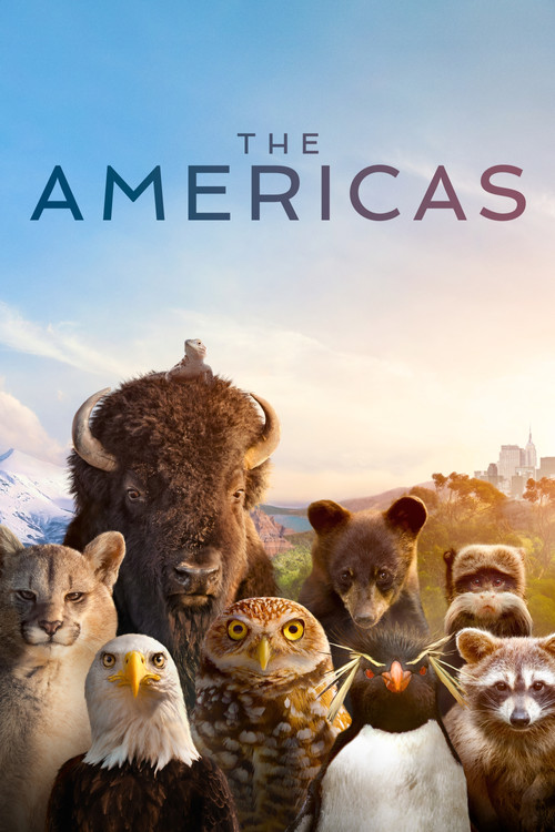 The Americas постер