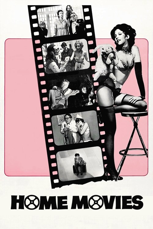 Домашние фильмы постер