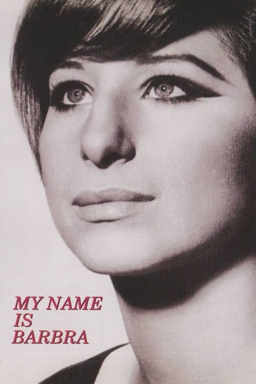 My Name Is Barbra постер