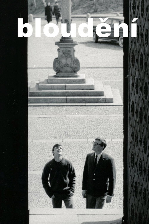 Bloudění постер