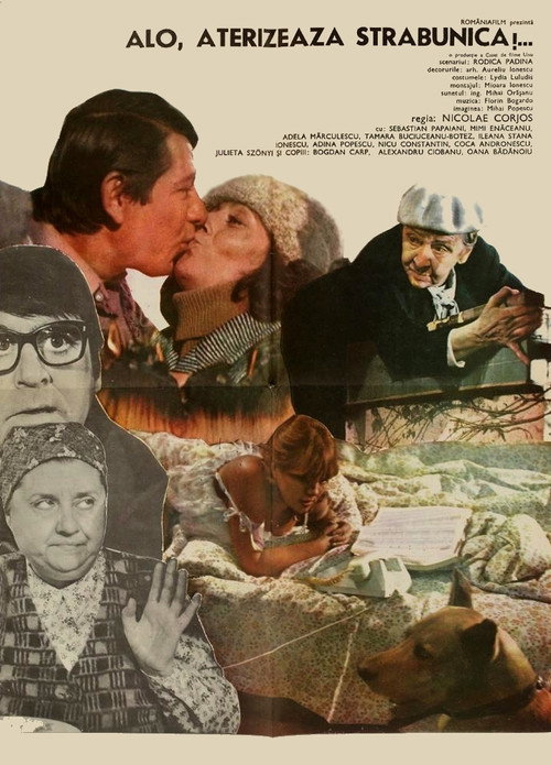 Alo, aterizează străbunica! постер