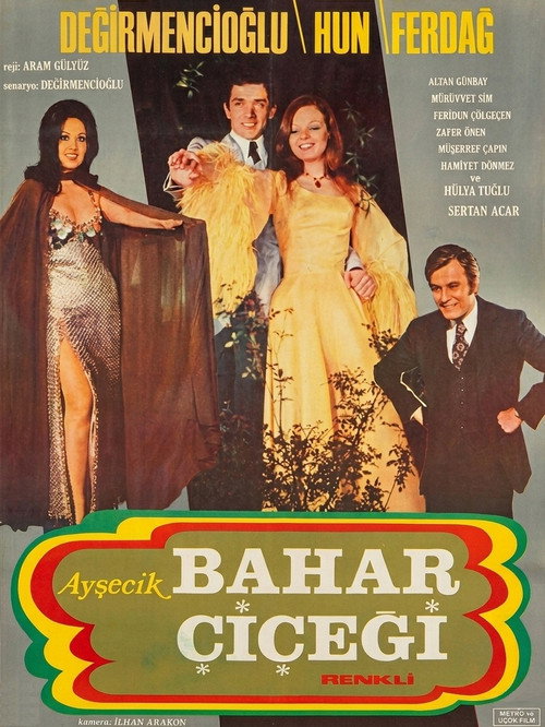 Ayşecik: Bahar Çiçeği постер