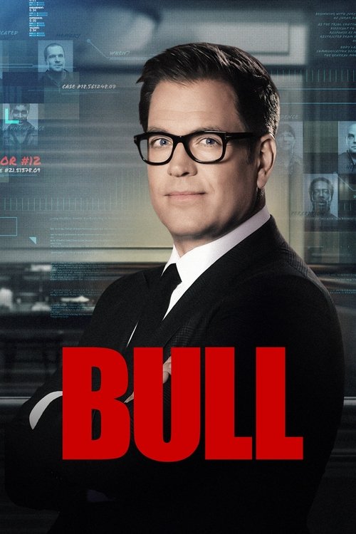 Bull постер