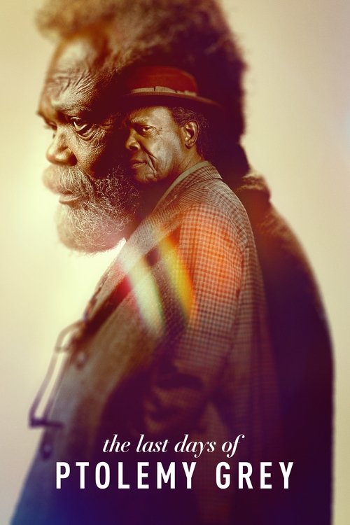 The Last Days of Ptolemy Grey постер