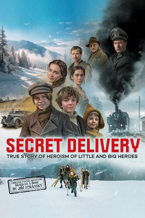 Secret Delivery постер