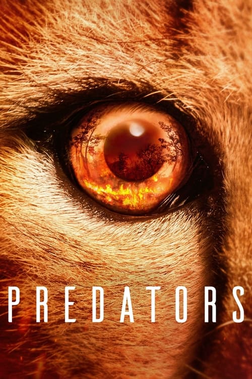Predators постер