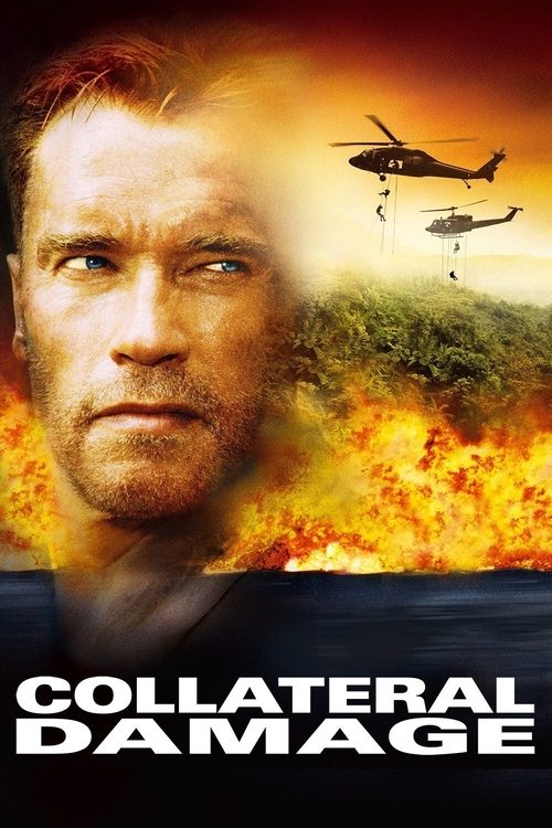 Collateral Damage постер