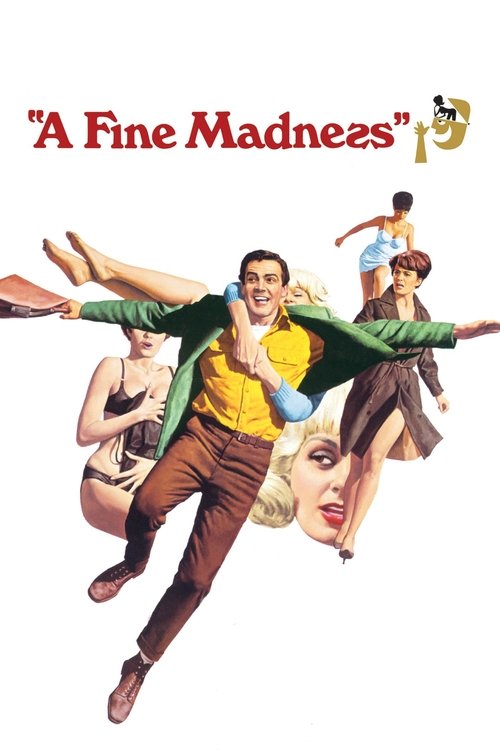 A Fine Madness постер