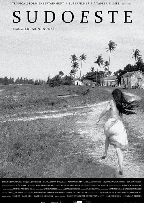 Sudoeste постер