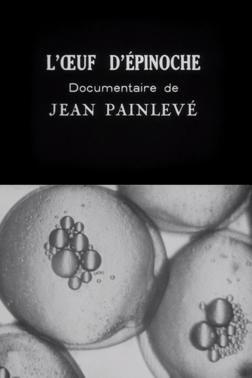 The Stickleback's Eggs постер