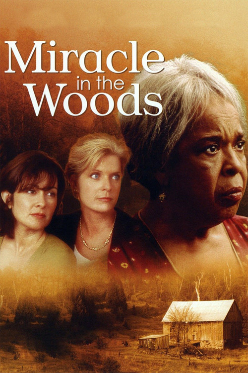 Miracle in the Woods постер