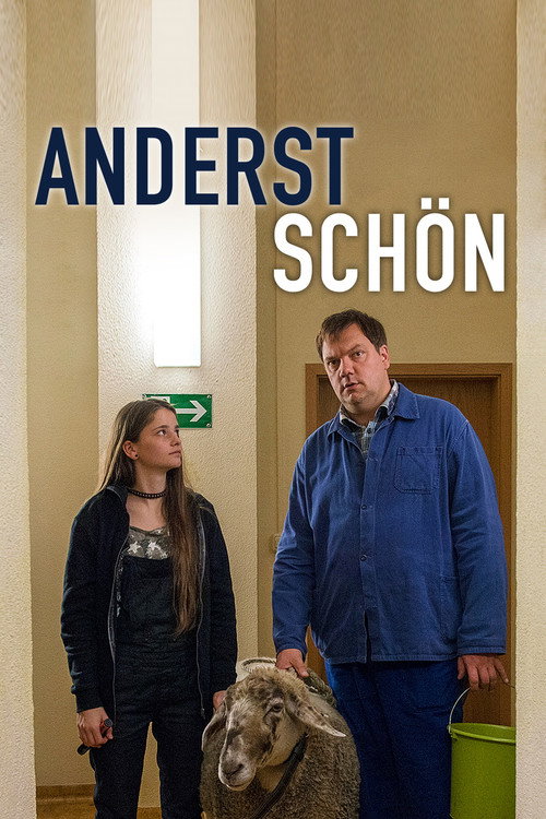 Anderst schön постер