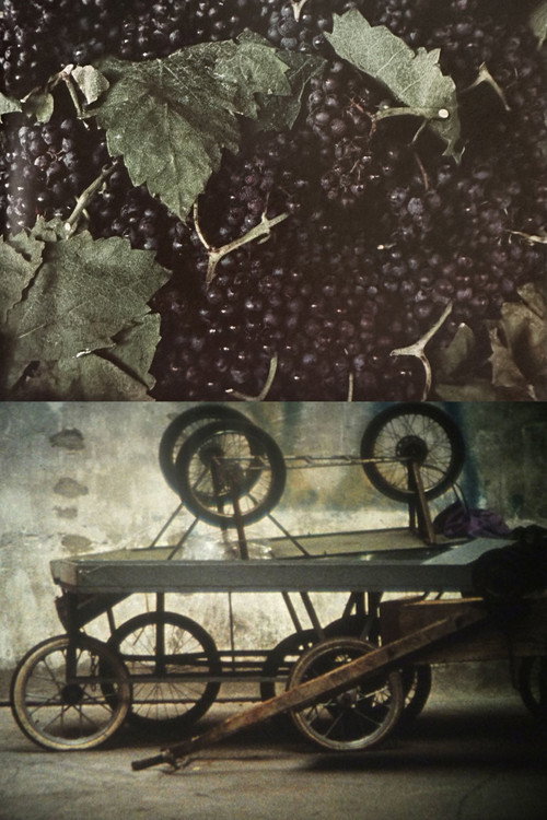 The Stoas постер