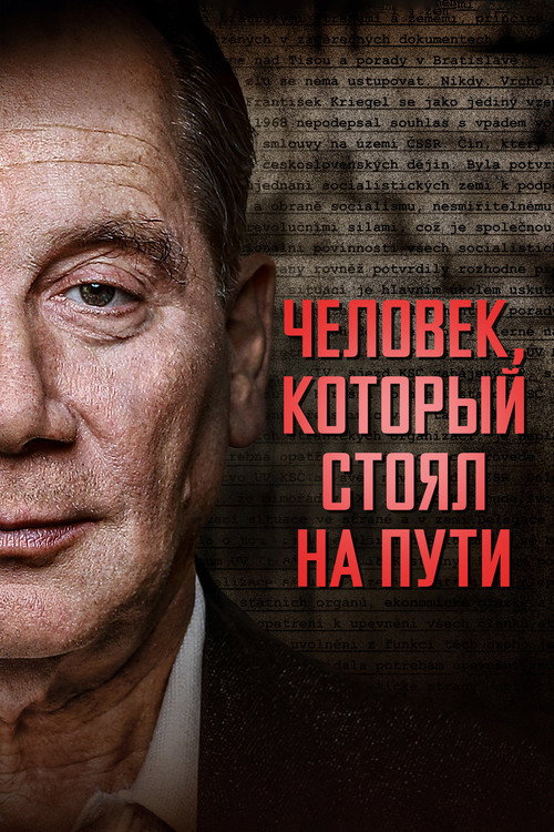 The Man Who Stood In the Way постер