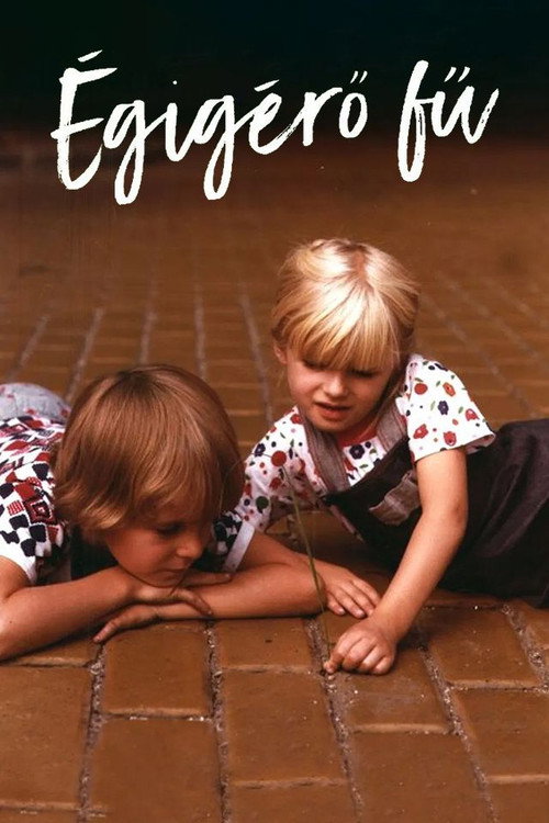 Égigérő fű постер