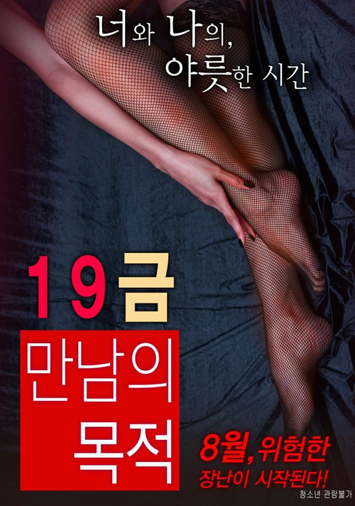 19금 만남의 목적 постер