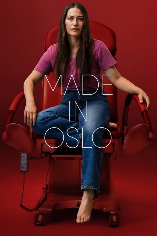 Made in Oslo постер