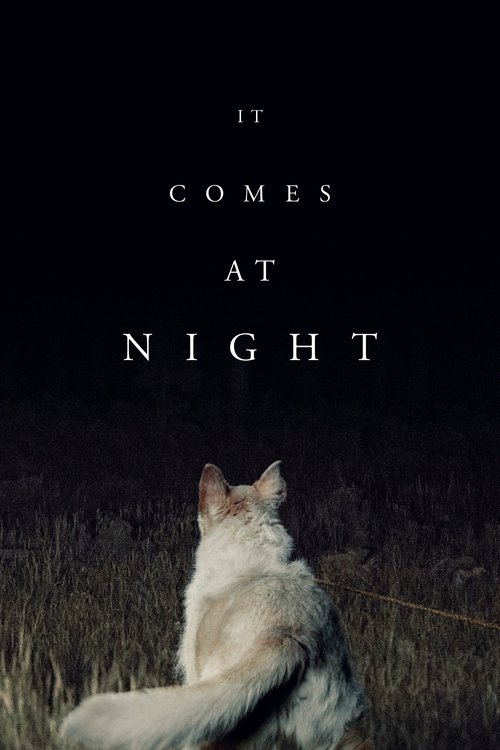 It Comes at Night постер